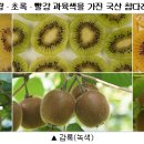 한라보성개발 이미지