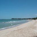 수박이네 이미지