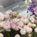 오월애 | 대전 꽃집 둔산동 꽃집 오월애플라워 당일 제작 꽃다발 후기