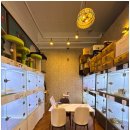 도그마루 고양이 강아지 무료분양 | 전주도그마루에서 강아지 무료 분양 받고 온 후기~