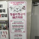 짱블리 짱금이 이미지