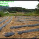 봉소2리마을회관 이미지