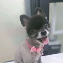 아름답고 예쁘개 이미지