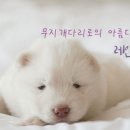 광명장묘