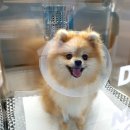 오션동물메디컬센터 이미지