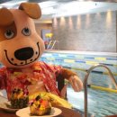 알로하도그 이미지