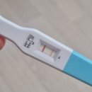 (주)네오진 | [공지] [임신 5주차] 👶태명 풀네임은 한효주. 무슨 뜻이게?