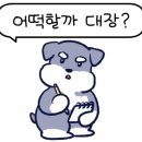 타임디자인