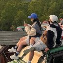 별빛농장 | 태교 in 발리 Day 8｜바투르산 지프차 별빛 투어 &amp; 커피농장 체험