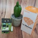 뇌건강, 건강차 | 기억력 약 뇌 건강 관리 후기