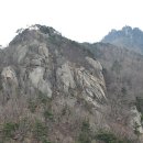 영희네 체험민박 이미지