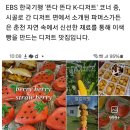 ●●12월8일(일)호반의 도시 춘천으로 맛집과 불빛정원으로 당일 드라이브 여행 가요 이미지