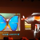 내츄럴원더스 | 2012 얼루어 뷰티페어 김남주와 함께하는 코스메 데 코르테 뷰티 토크!