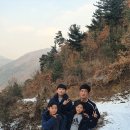영농조합법인 휴앤숲 이미지