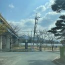 복지송파충전소 | 세종 베어트리파크 할인 맛집 봄꽃 축제 아이와 함께