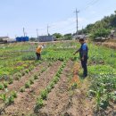 광주농장2 이미지