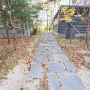 새뜸초등학교 이미지