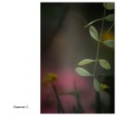 비몽 - 목포시 옥암로46번길 25 | 비몽