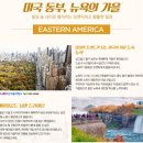 여행사 하나로드 이미지