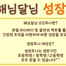 해님달님한의원 네이버블로그