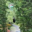 좌구산캠핑장 이미지
