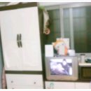 대원주유소 이미지