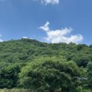 구곡촌두부 이미지