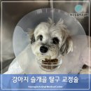 행신동물의료센터 이미지
