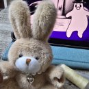 인형뽑기PC 이미지