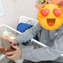 좌동초교 병설유치원 이미지