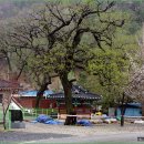 박준덕부부효열각 이미지