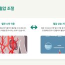 푸더스