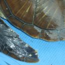 행운수산 이미지