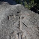 서울과학고등학교 이미지