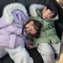 연초체육공원 이미지