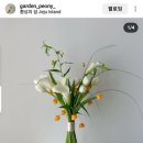 소피토제주