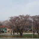 병곡면보건지소 이미지