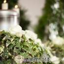 이담장례 이미지