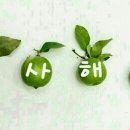 미성약국 이미지