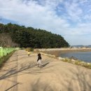 민어도슈퍼