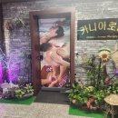노형아로마 이미지