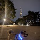 꼴레트멍멍 | 강아지 야광목걸이 꼴레트멍멍 소형견 산책등 추천 강아지 밤산책 안전용품
