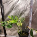 인건농장 이미지