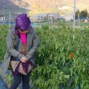 (주)우리동네 이미지