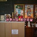 [천호동] 서울신점 잘 보는 곳 천후신당 용안보살 후기