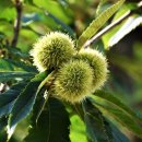 내몸사랑한의원 이미지