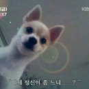 풍천만가 - 기장군 | 풍천만가
