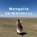 몽골 패키지 여행 후기 : 몽골여행 전 보면 좋은 꿀팁