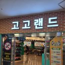고고장구 | 구로구롤러장 고고랜드 영등포점 다녀온 후기