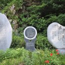 동서트레일 8구간_서산_20260603 이미지